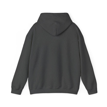 Storm of Passion Hoodie — Graphic Text Pullover for Storm of Passion fans