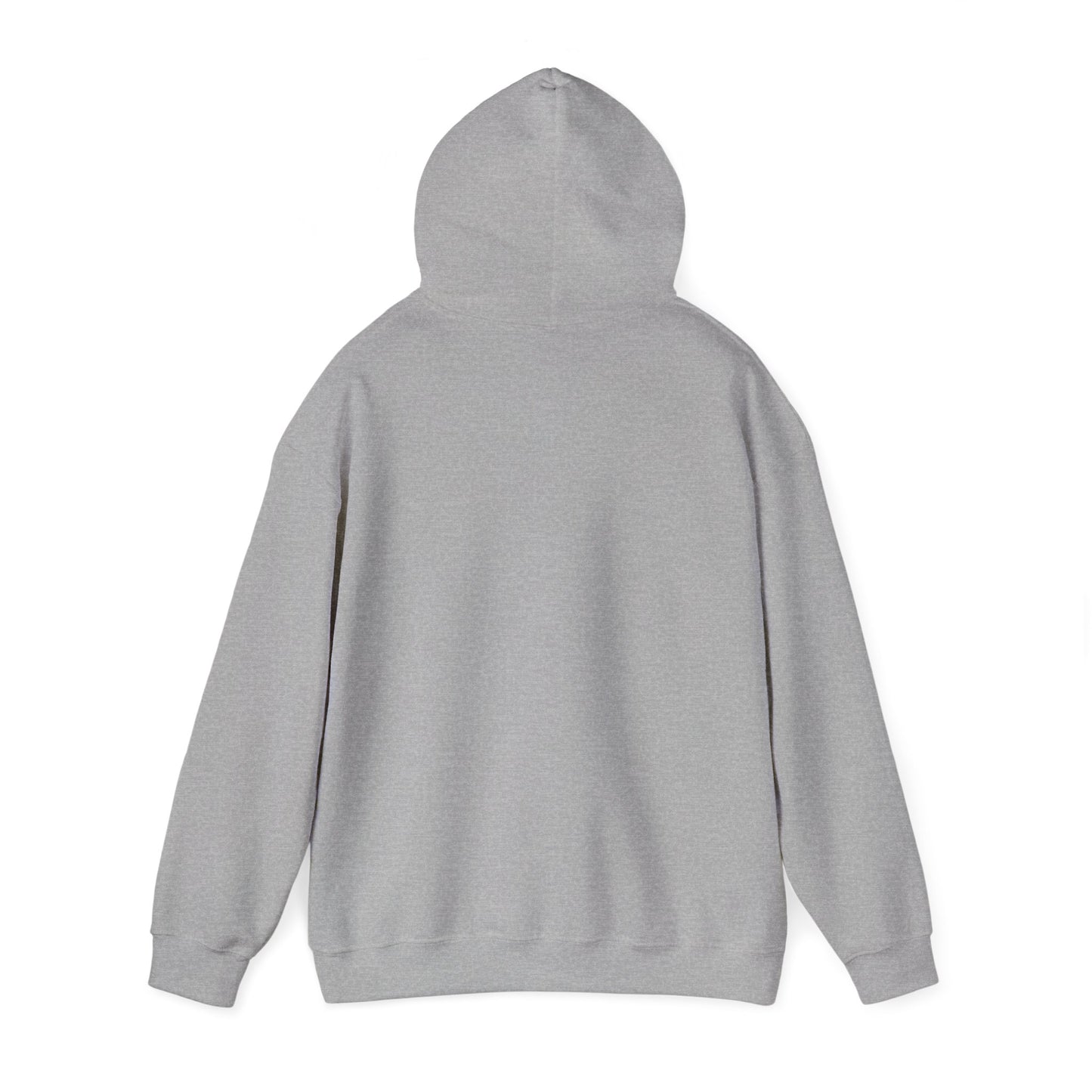 Hoodie — "Born to Chase" Storm Chaser Graphic Pullover