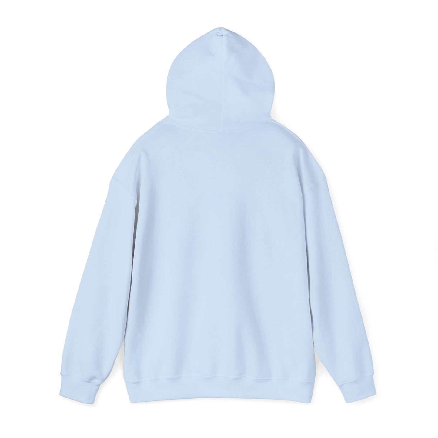 Hoodie — "Born to Chase" Storm Chaser Graphic Pullover