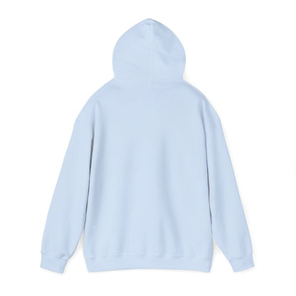 Hoodie — "Born to Chase" Storm Chaser Graphic Pullover